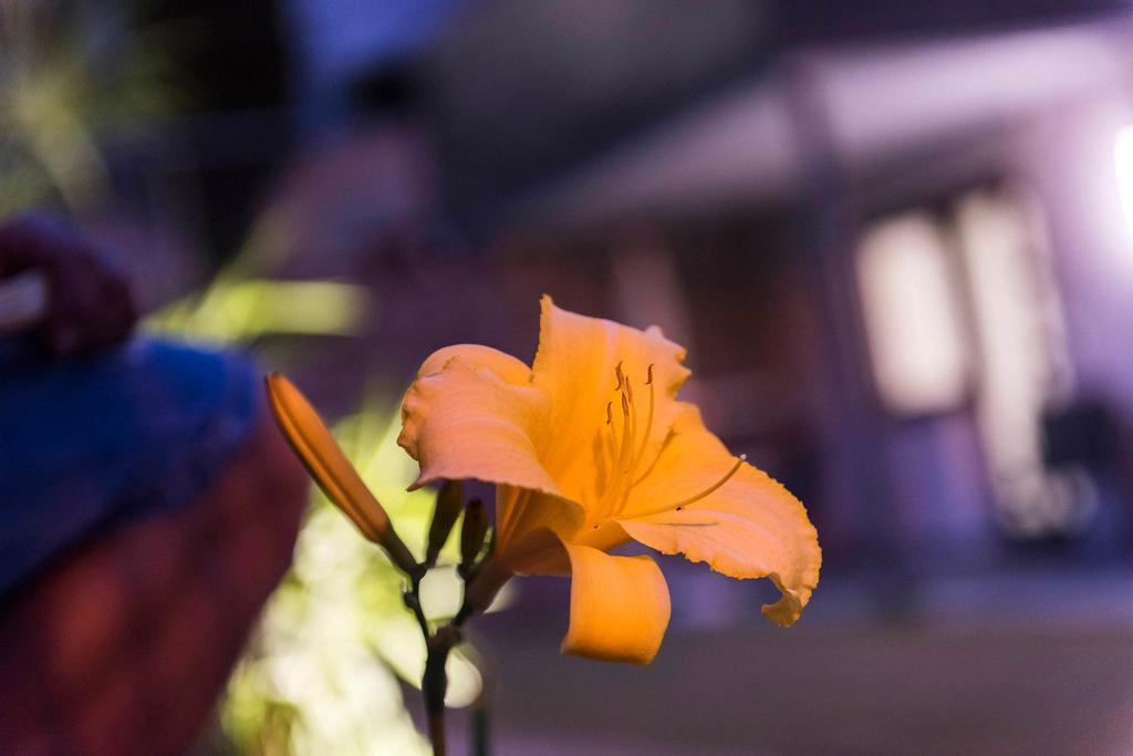 Apartment Zielspitz Parcines Ngoại thất bức ảnh
